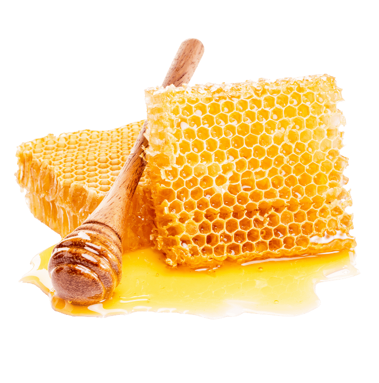 Raw Wildflower Honey