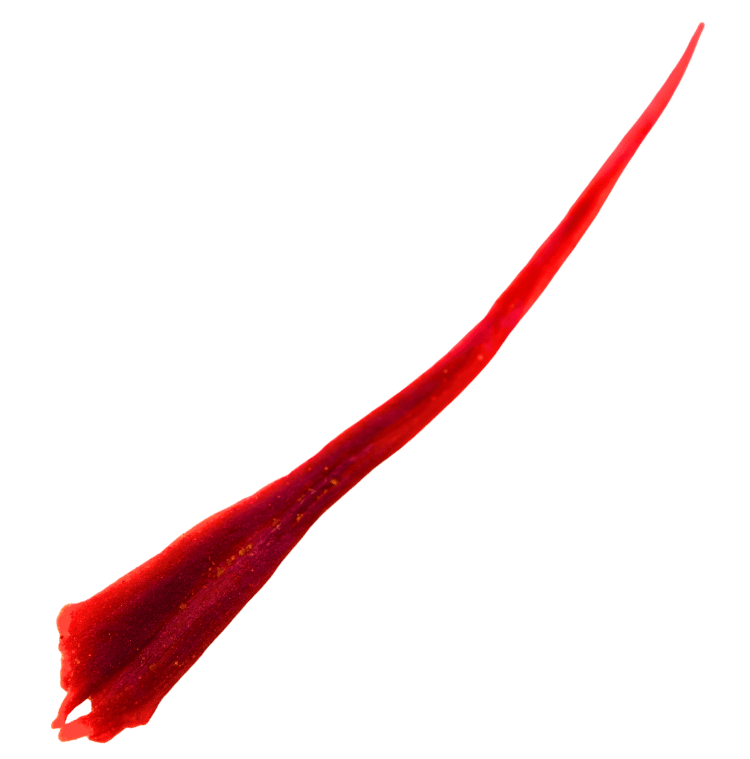 What's Really in Saffron? A Closer Look at the Golden Spice's Healing Compounds