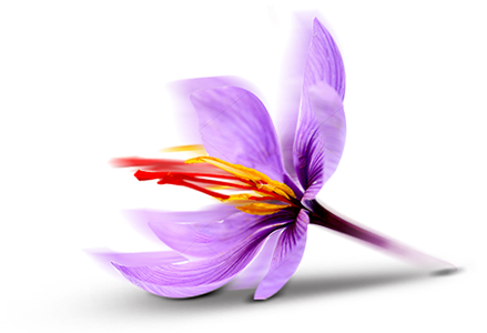 Why I’m So Fascinated by Saffron (and What the Science Says About Mood, Anxiety &amp; Sleep)