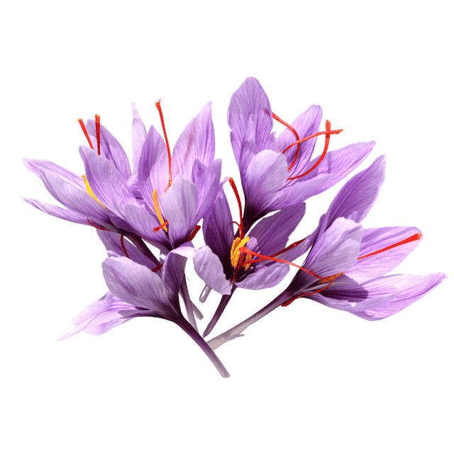 Super Negin Saffron